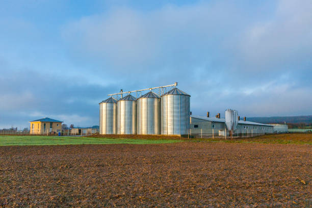 istock Silo in beautiful landscape with dramatical light 1063449250
