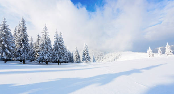 istock Spectacular panorama is opened on mountains,  trees covered with white snow,  lawn and blue sky with clouds. 1063453374