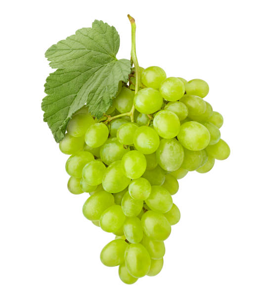 istock Green grape, isolated on white background, clipping path, full depth of field 1063456498