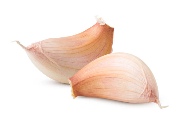 istock garlic, isolated on white background, clipping path, full depth of field 1063456574