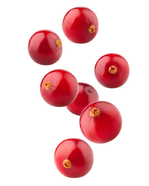 fallende cranberry isoliert auf weißem hintergrund, clipping-pfad voller schärfentiefe - cranberry stock-fotos und bilder