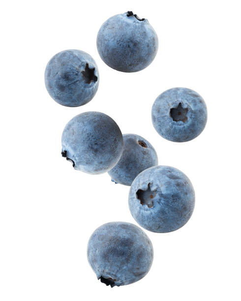 Falling blueberry, clipping path, isolated on white background, full depth of field, high quality stock photo