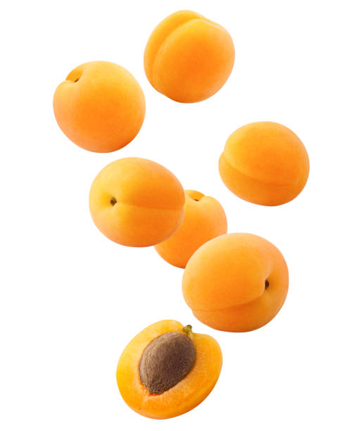 fallende aprikose isoliert auf weißem hintergrund, clipping-pfad voller schärfentiefe - aprikose stock-fotos und bilder