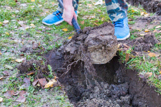istock Man digging a ditch with a shovel in autumn 1063461988