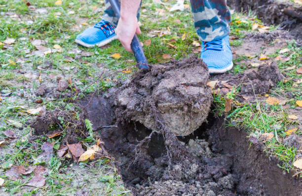istock Man digging a ditch with a shovel in autumn 1063461996