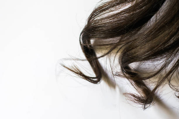 longs cheveux brun foncé, isolé sur blanc - human hair curled up hair extension isolated photos et images de collection