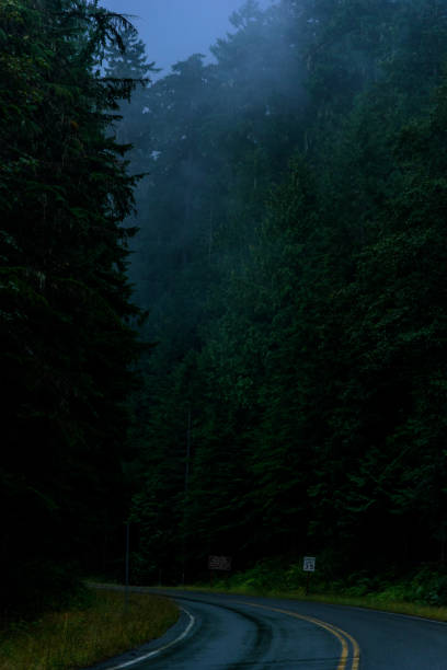 istock The Road Less Traveled 1063464090