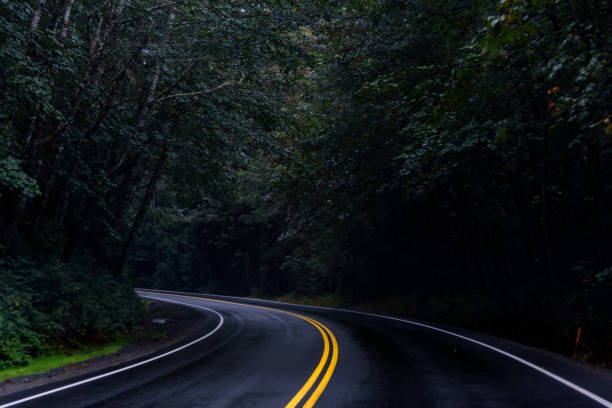 istock The Road Less Traveled 1063464092
