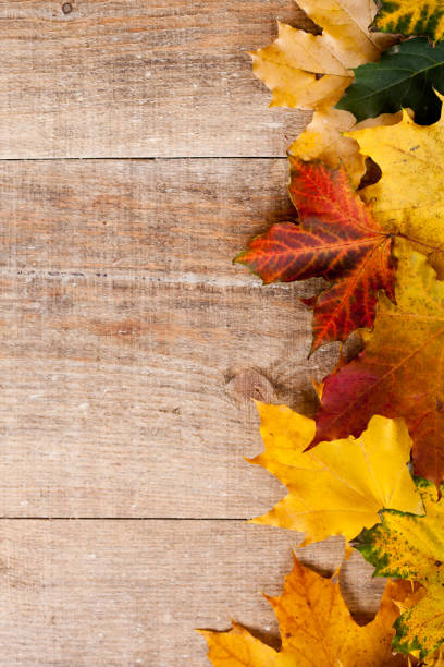 istock autumn leaves over wooden background 1063465154