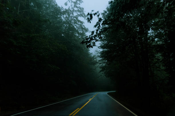 istock The Road Less Traveled 1063465168