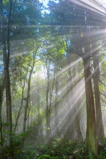 istock The Hand of God 1063465388