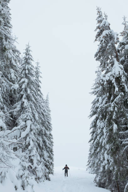 istock The coming of winter 1063470052