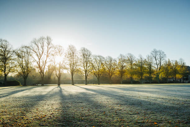 Cold fall day in the city park, sunrise