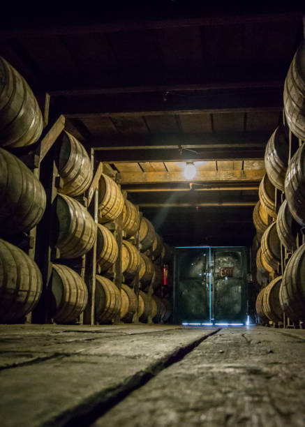Low View of Barrel Walkway