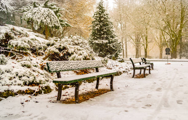 istock Benches under the snow in Turin (Piedmont, Italy). 1063484826