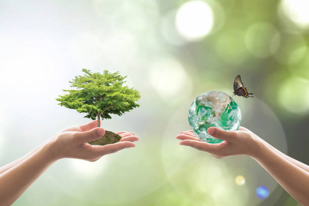 istock Reforestation, sustainable world forest, and tree care day concept: Elements of this image furnished by NASA 1063497916