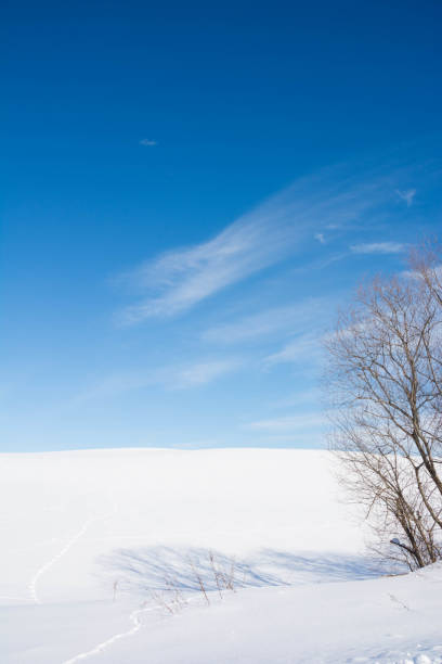 istock Snowy field with footprints of wildlife 1063508338