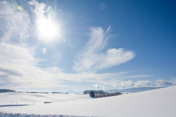 istock Sun and winter hilly areas in Biei 1063509574