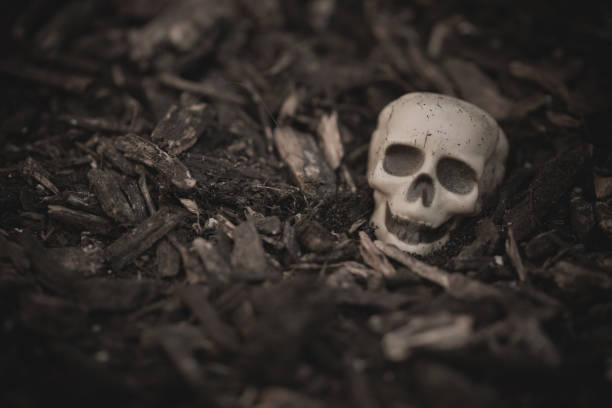 istock Heap of human skulls on ground 1063514782