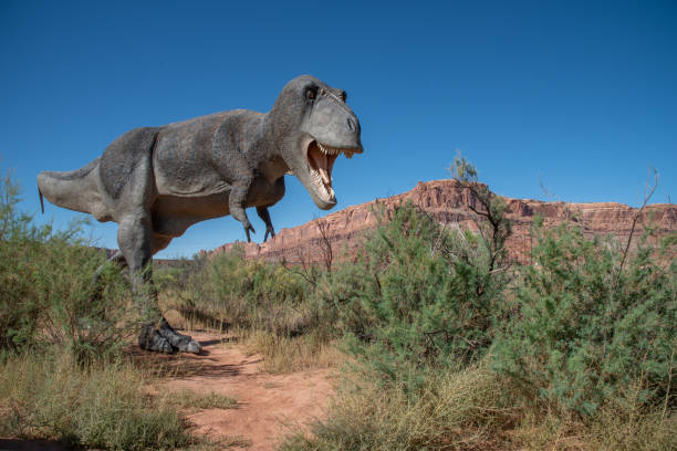 istock T-Rex Dinosaur Walking in the Desert 1063530522