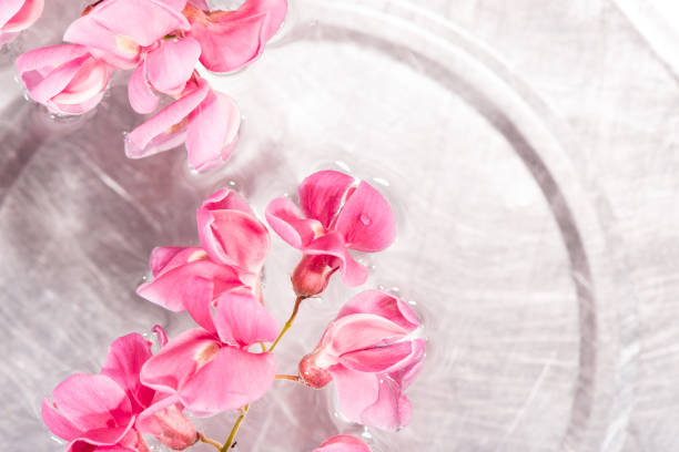 istock The pink flower and water 1063532054