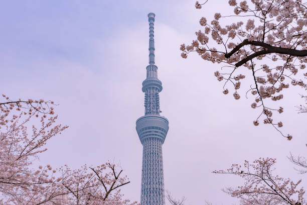 istock View of Tokyo Skytree Tower at Sumida Park. 1063555306