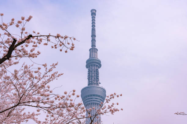 istock View of Tokyo Skytree Tower at Sumida Park. 1063555316