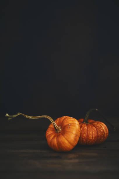 istock Pumpkin still life for Thanksgiving 1063555480