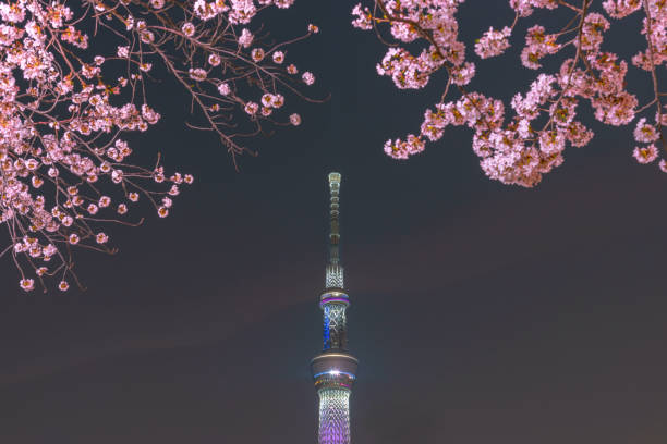 istock View of Tokyo Skytree Tower at Sumida Park. 1063555974