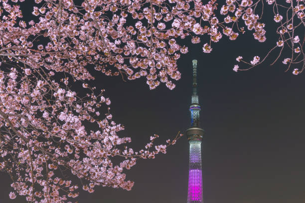 istock View of Tokyo Skytree Tower at Sumida Park. 1063555986