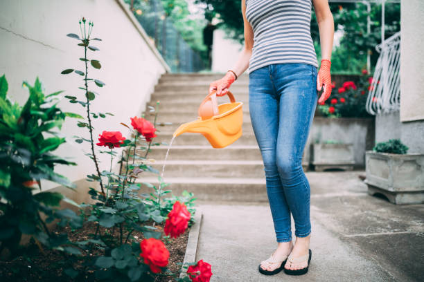 Happy woman watering her garden at summer. Many plant are blooming and looks beautiful.