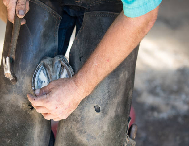 istock Farrier hammering nail in horseshoe 1063562316