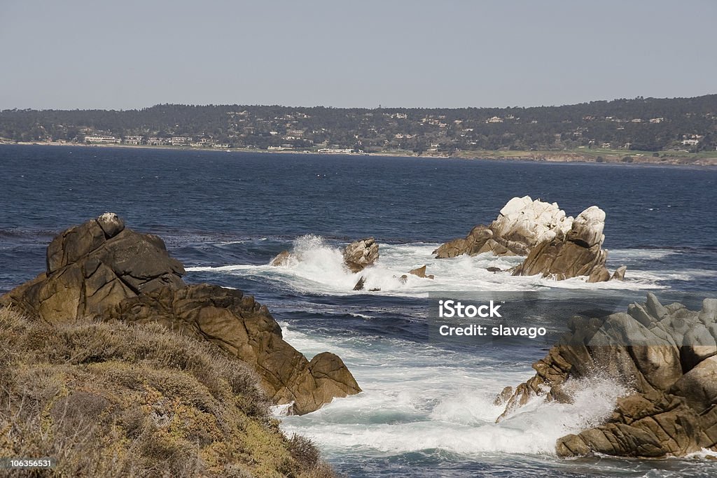 Point Lobos  Beach Stock Photo