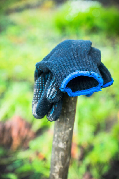 clean, working gloves hanging on the tool for planting tree seedlings, before the forest planting.