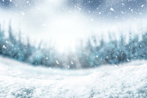 schnee-hintergrund und baum. winter hintergrund mit sonnenlicht am morgen rechtzeitig. - winter weather stock-fotos und bilder