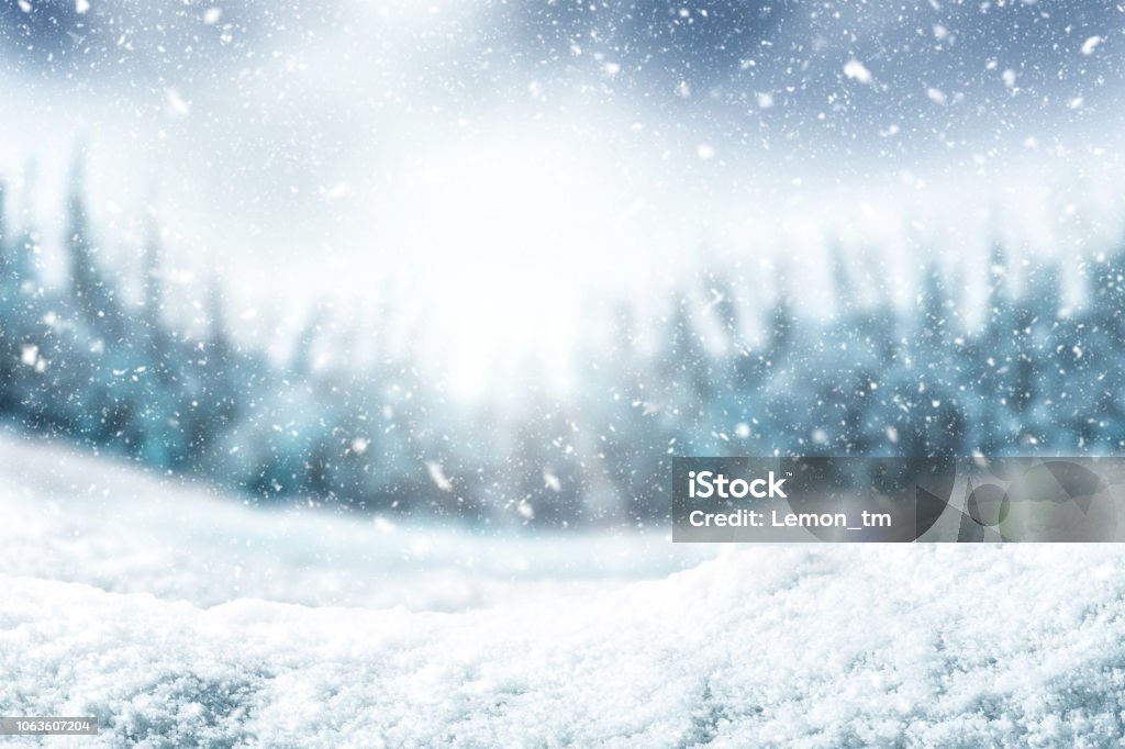 Snow background and tree. Winter backdrop with sunlight in morning time. Snow Stock Photo