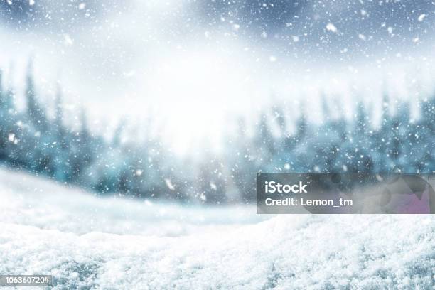 Snow Background And Tree Winter Backdrop With Sunlight In Morning Time Stock Photo - Download Image Now