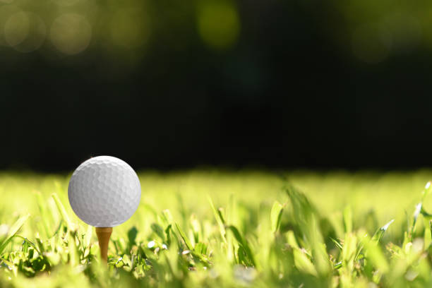 istock Golf ball on green grass with golf course background 1063616362