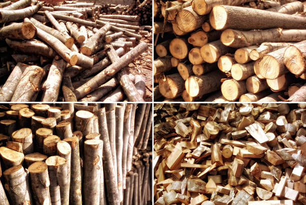 Group of industrial images of chopped trees pile