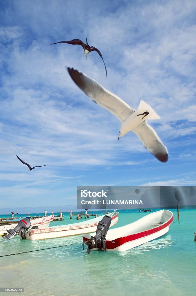 Puerto Morelos beach boat shore Karibik - Lizenzfrei Außenbordmotor Stock-Foto