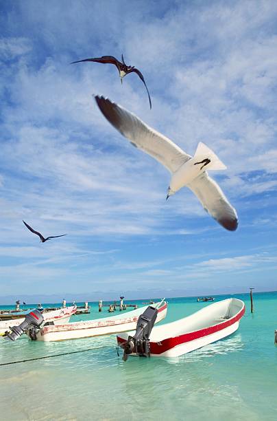 istock Puerto Morelos beach boat shore Carribean 106362200