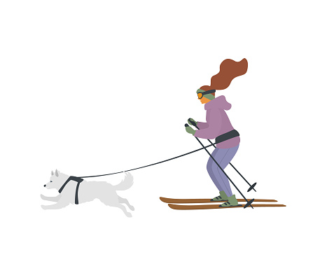 woman and dog skijoring, winter sports vector illustration
