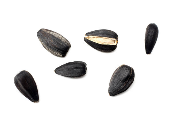 istock sunflower seeds isolated on white background. top view 1063629670