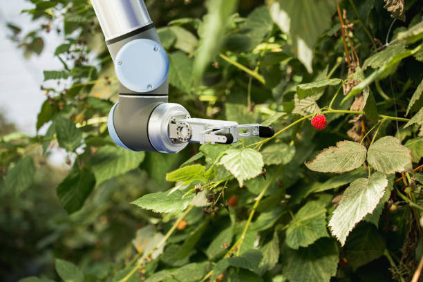 istock The robot arm is working in a greenhouse 1063630998