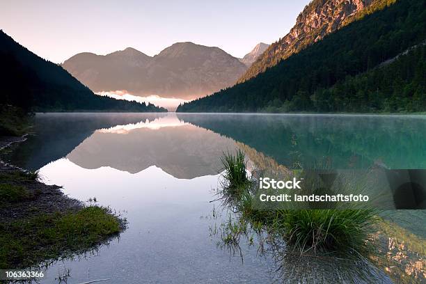高山湖 Plansee Ii - かすみのストックフォトや画像を多数ご用意 - かすみ, カラー画像, バイエルンアルプス