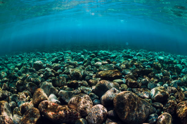 istock Underwater scene with stones, copy space. Ocean texture 1063635910