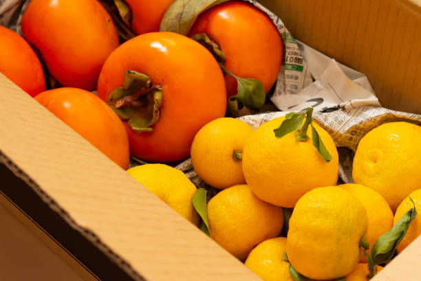 istock Ripe persimmon and yuzu 1063637336