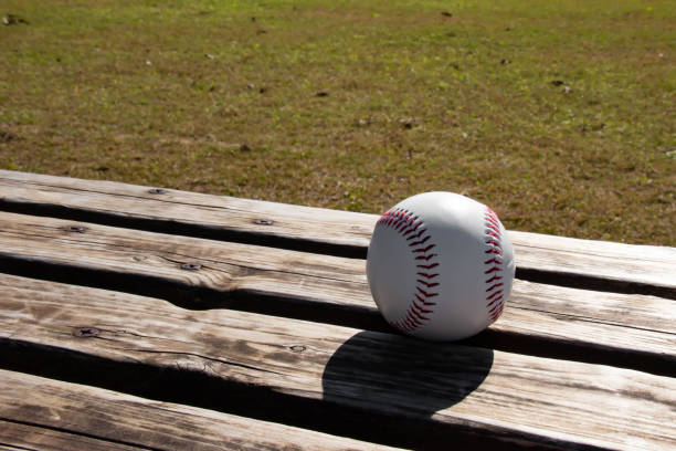 istock Baseball field and hard ball and bench 1063637392
