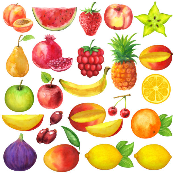 Watercolor fruits and berries isolated Watercolor fruits and berries isolated on white background set. Hand painting on paper starfruit stock illustrations