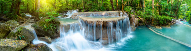 panorama schönen tiefen wald wasserfall in thailand - waterfall rapid landscape woods stock-fotos und bilder